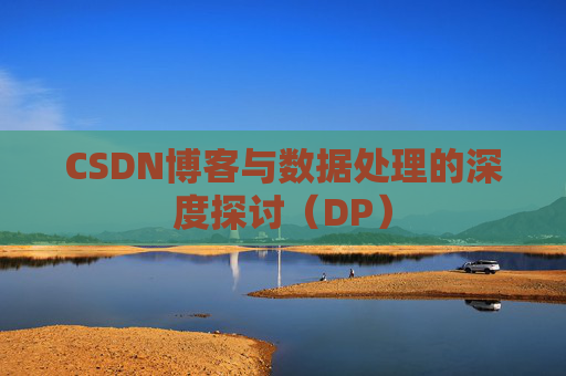 CSDN博客与数据处理的深度探讨（DP）